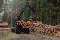 Felling Permissions